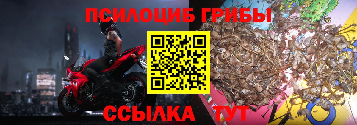 Псилоцибиновые грибы MAGIC MUSHROOMS  Галлюциногенные грибы MAGIC MUSHROOMS  Вход с VPN  Вышний Волочёк 